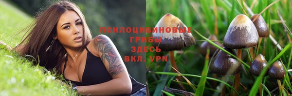 каннабис Сясьстрой