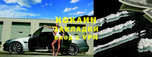стаф Тайга