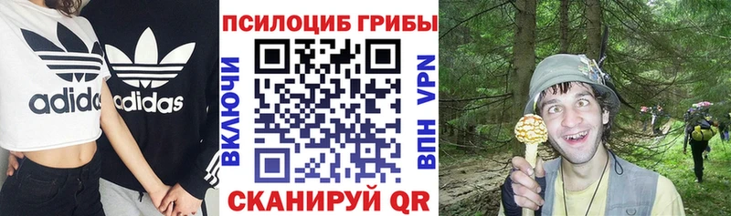 Псилоцибиновые грибы Magic Shrooms  Чадан 